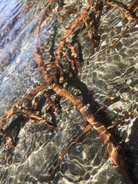 Full frame shot of rock in sea