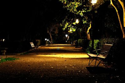 Empty bench in park at night