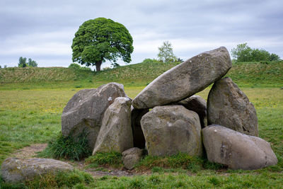 Rocks on field against sky