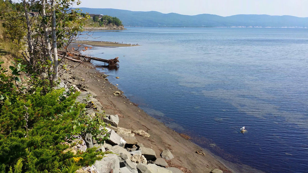water, shore, sea, coast, body of water, land, scenics - nature, nature, beauty in nature, beach, tranquility, plant, tranquil scene, cliff, sky, terrain, mountain, bay, tree, travel destinations, day, coastline, travel, landscape, reservoir, no people, environment, outdoors, cove, ocean, rock, high angle view, non-urban scene, tourism, idyllic, blue, vacation