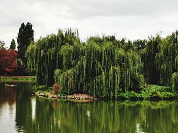 Scenic view of lake by trees against sky