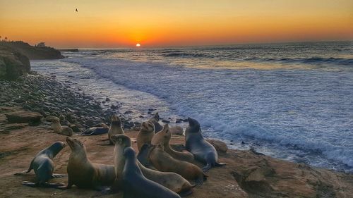 Scenic view of sea against sky during sunset