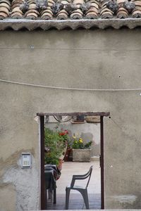 Potted plants on the wall