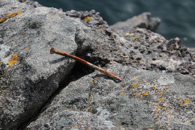 High angle view of rusty metallic nail on rock