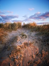 Scenic view of beach against sky