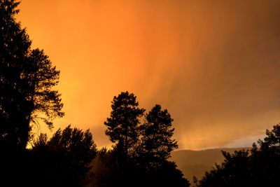 Silhouette trees against orange sky