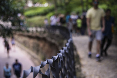 Metallic railing by footpath at park