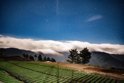 Scenic view of agricultural field against sky at night