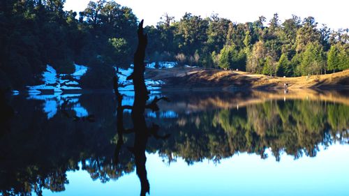 Reflection of trees in lake against sky