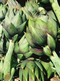 High angle view of vegetables