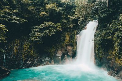 Scenic view of waterfall