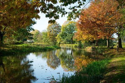 Scenic view of lake by trees during autumn