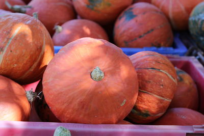 Close-up of pumpkins for sale in market