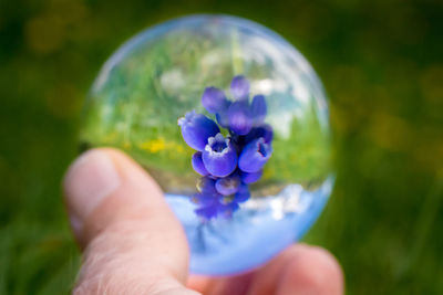 Close-up of hand holding glassball with purple flower