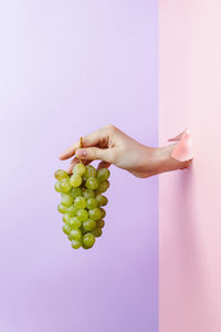 Hand holding grapes over white background