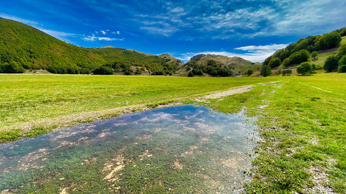 Scenic view of field against sky