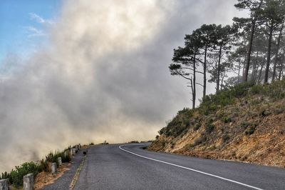 Road by trees against cloudy sky