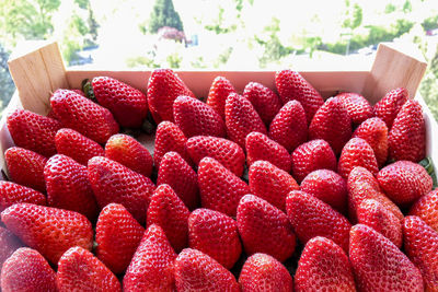 Close-up of strawberries