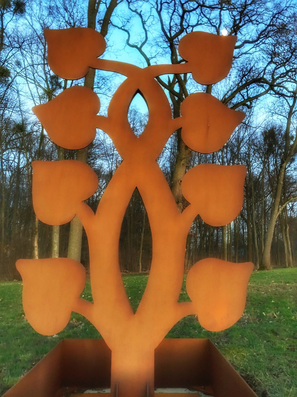 CLOSE-UP OF ORANGE PLANT AGAINST TREES