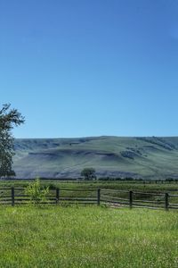 Scenic view of field against clear blue sky with fence