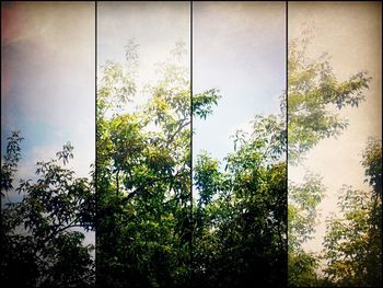 Low angle view of trees against sky