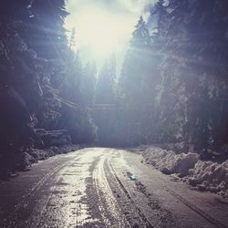 Road amidst trees against sky during winter