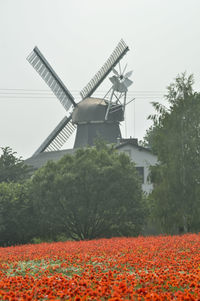 View of traditional windmill