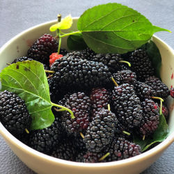 Close-up of fruits in bowl on table