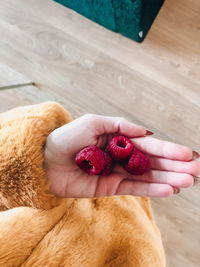 High angle view of hand holding strawberries