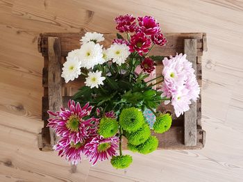 Close-up of fresh pink flowering plant against wooden wall