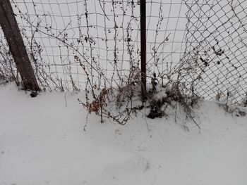 Snow covered field seen through fence