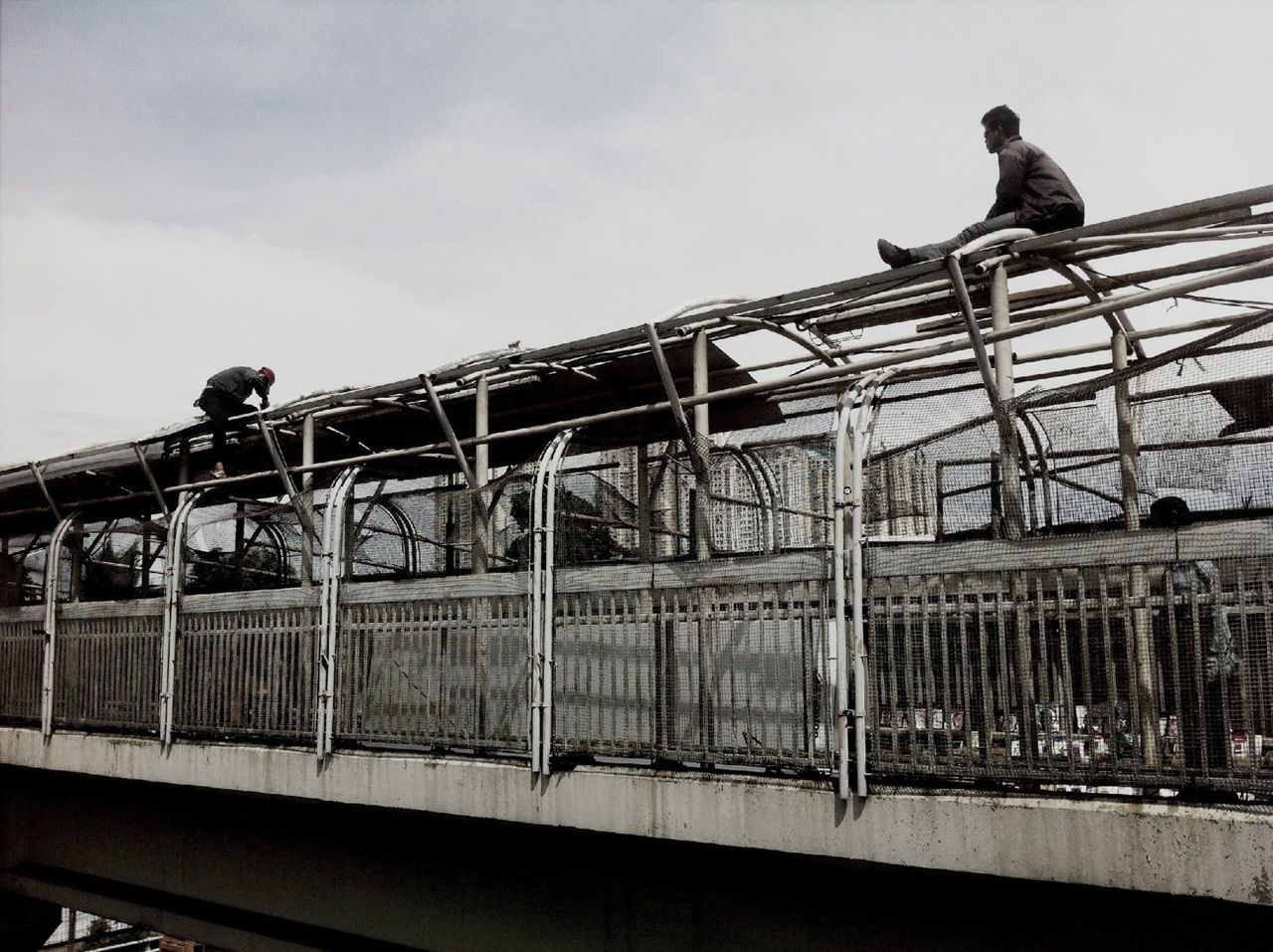 railing, sky, low angle view, built structure, architecture, transportation, building exterior, animal themes, day, metal, bird, outdoors, mode of transport, perching, bridge - man made structure, men, full length, standing