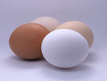 Close-up of eggs against white background