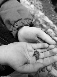 Close-up of hands holding frog