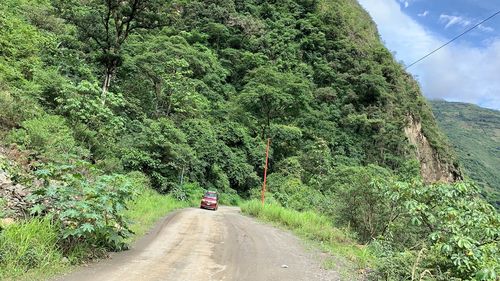 Road amidst trees and mountains