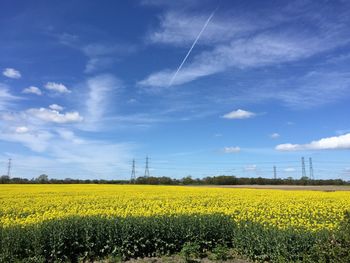 Scenic view of field against cloudy sky