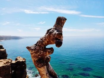 Driftwood on shore by sea against sky