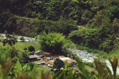 Scenic view of trees on landscape