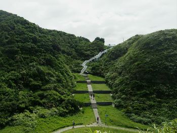 Scenic view of green landscape against sky