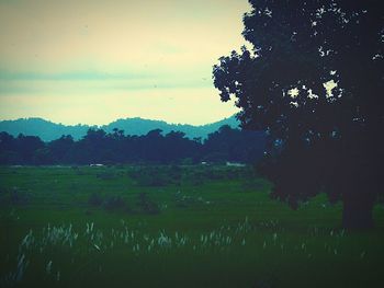 Scenic view of landscape against sky