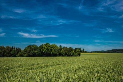 Scenic view of field against blue sky