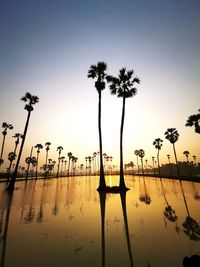 Silhouette palm trees by swimming pool against sky during sunset