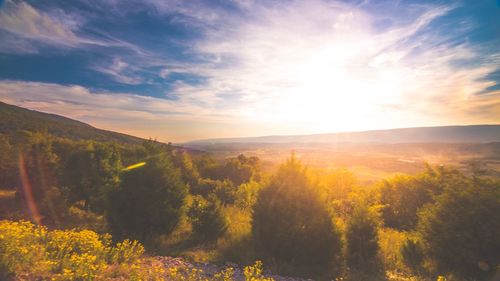 Scenic view of landscape against sky during sunset