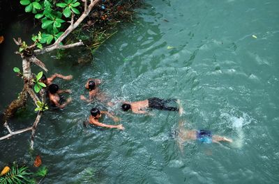 High angle view of people swimming in lake