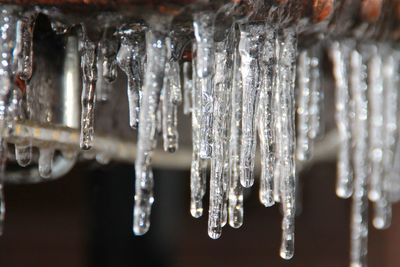 Close-up of icicles hanging from glass