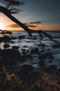 Scenic view of sea during sunset