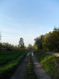 Road passing through landscape