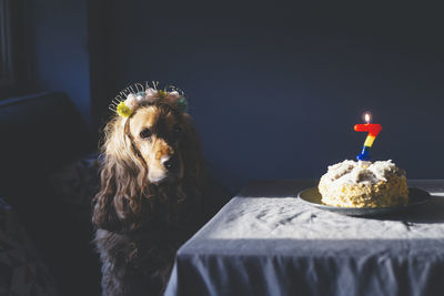 Portrait of woman with dog at home