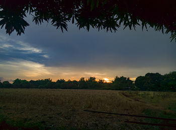 Scenic view of field against sky during sunset