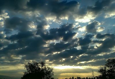 Low angle view of trees against dramatic sky